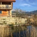 Wildbienengarten
